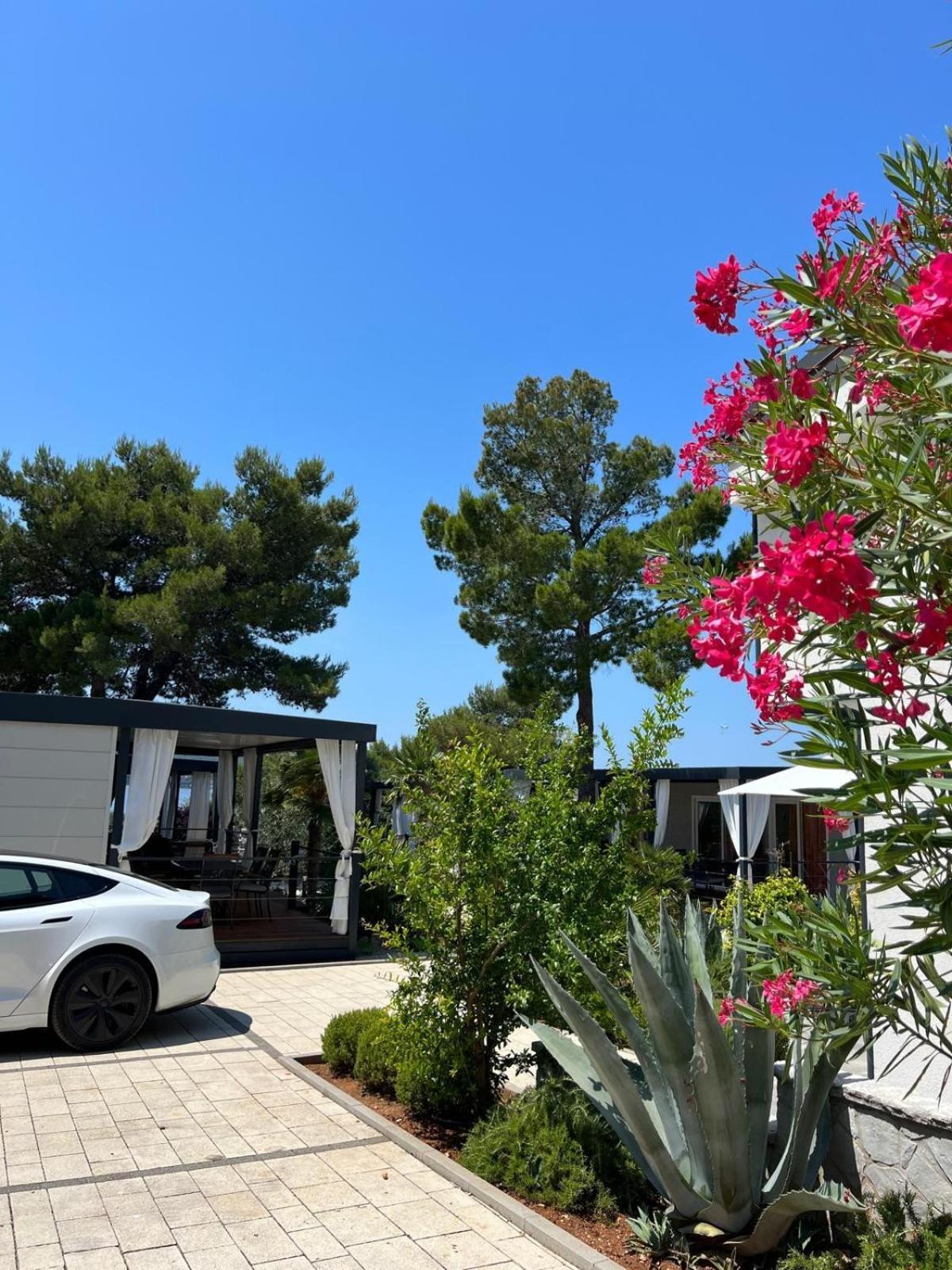 Dalmaris Camp - Prestige Mobile Homes بيوغْغاد نا موغو المظهر الخارجي الصورة